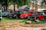Miniatura zdjęcia: Fotka 28