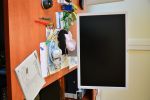 Miniatura zdjęcia: test 12 virtual oryginal