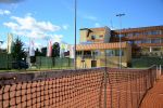 Miniatura zdjęcia: Sportowiec 1