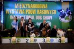 ???: Foto 6